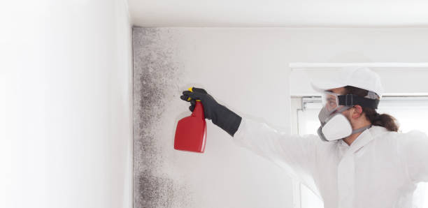 Best Professional Mold Removal  in Adamsville, TN