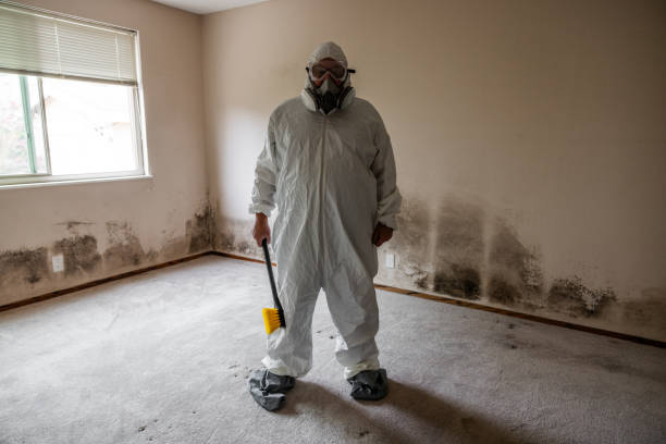 Best Certified Mold Removal  in Adamsville, TN